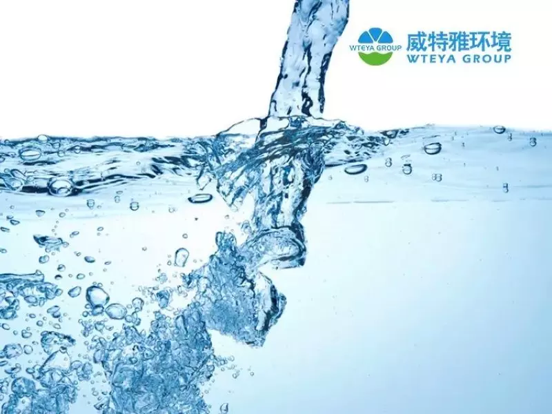 Electronic semiconductor water treatment system - the key to your success!